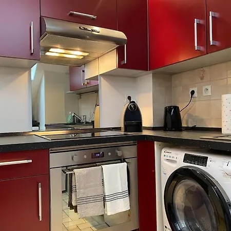 Charmant Duplex Privatise, Climatise, 2 Chambres Strasbourg Extérieur photo