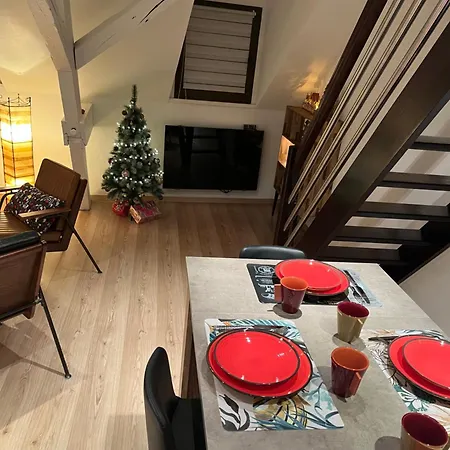 Charmant Duplex Privatise, Climatise, 2 Chambres Strasbourg Extérieur photo