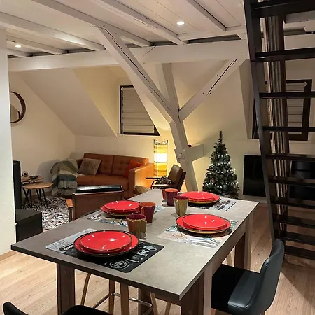 Charmant Duplex Privatise, Climatise, 2 Chambres Strasbourg Extérieur photo