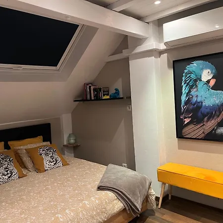 Charmant Duplex Privatise, Climatise, 2 Chambres Strasbourg Extérieur photo