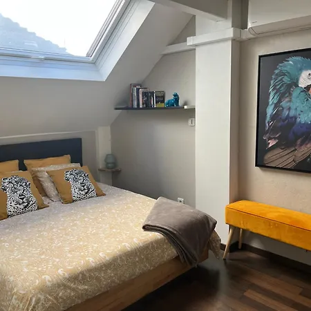 Charmant Duplex Privatise, Climatise, 2 Chambres Strasbourg Extérieur photo