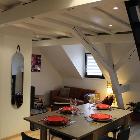 Charmant Duplex Privatise, Climatise, 2 Chambres Strasbourg Extérieur photo
