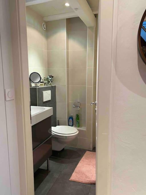 Duplex Privatise, Climatise, 2 Apartment Strasbourg
