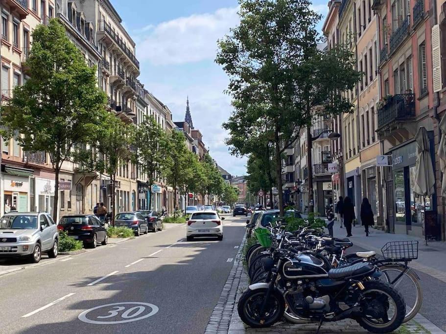 Apartment Duplex Privatise, Climatise, 2 Strasbourg