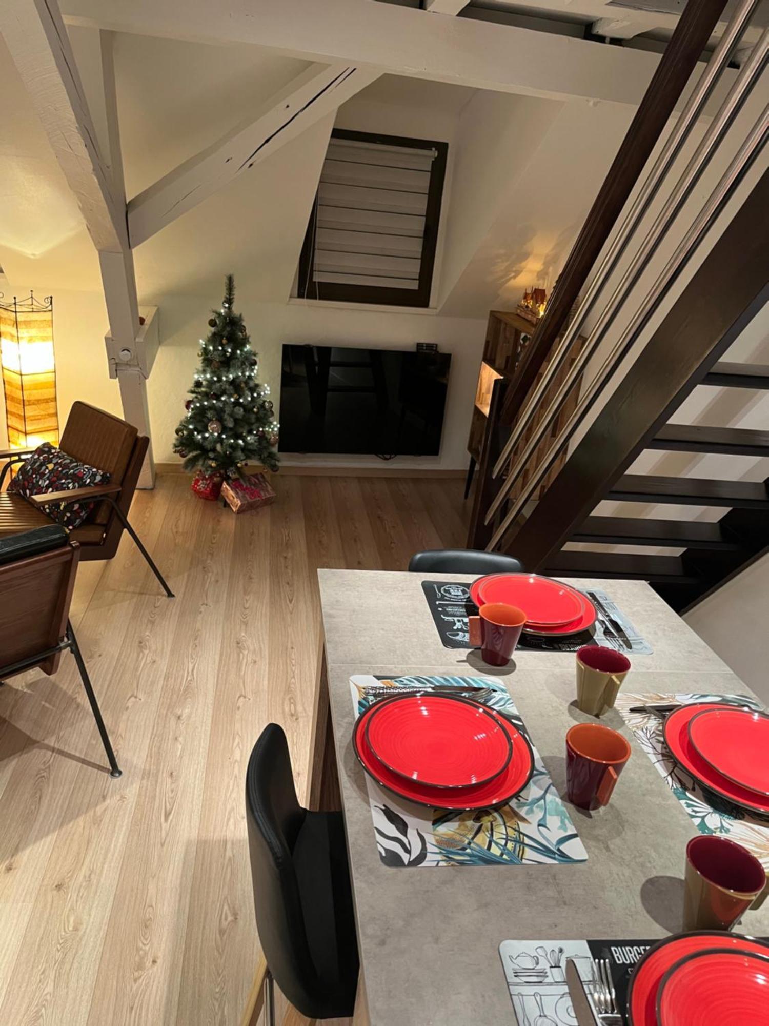 Apartment Duplex Privatise, Climatise, 2 Strasbourg
