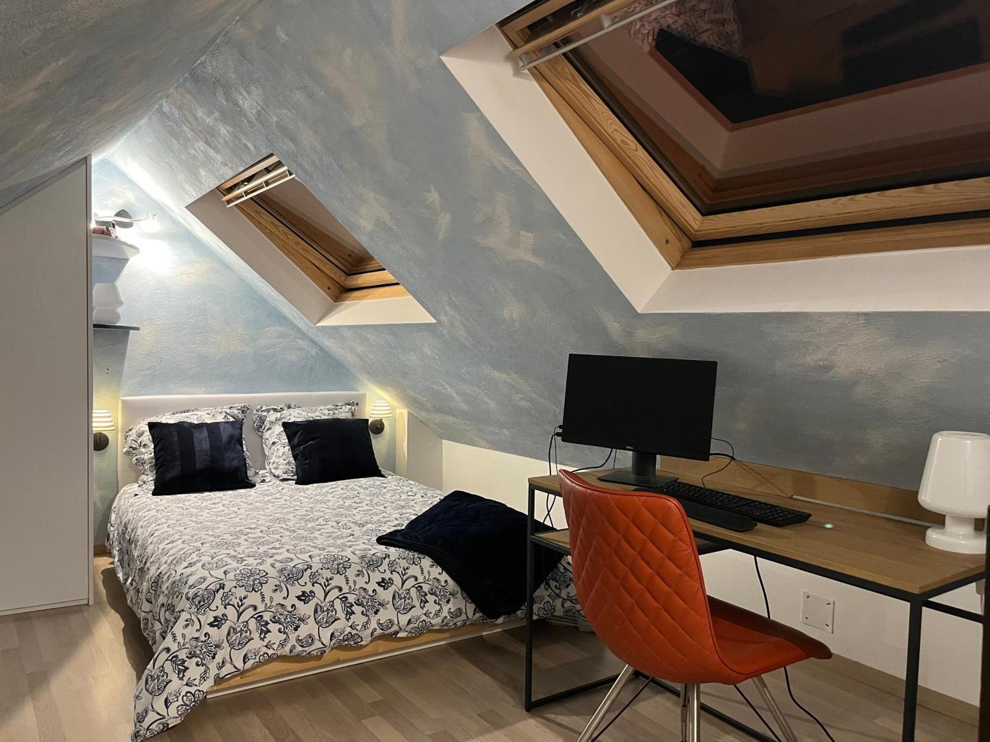Duplex Privatise, Climatise, 2 Apartment Strasbourg