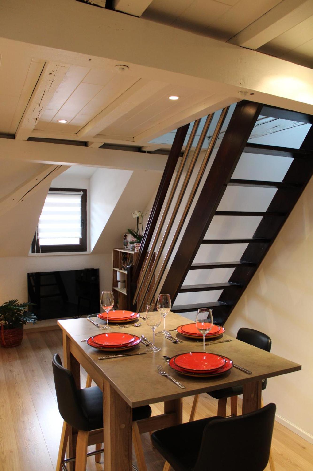 Duplex Privatise, Climatise, 2 Apartment Strasbourg