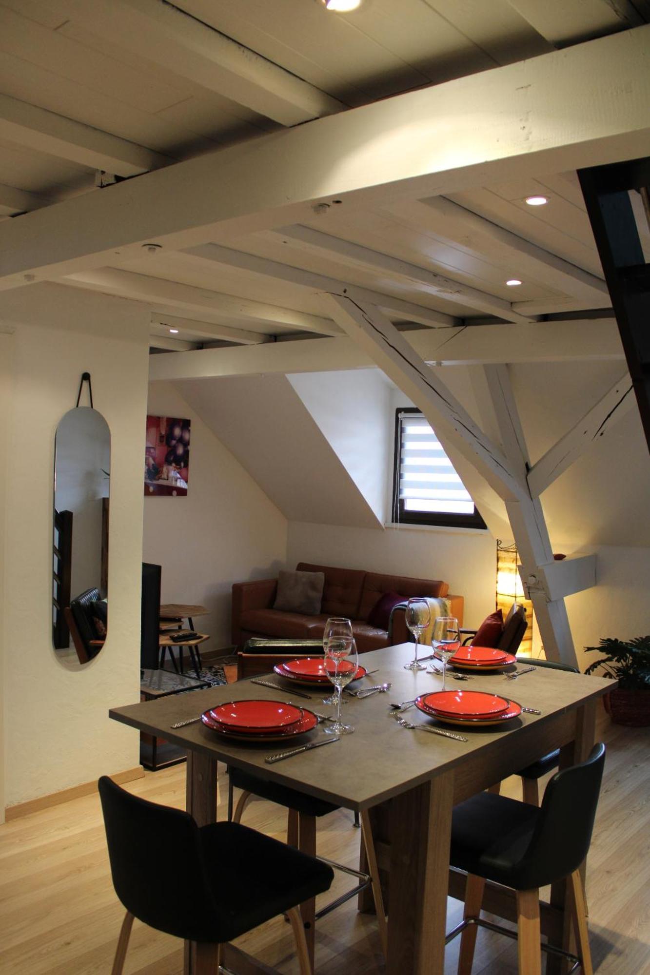 Duplex Privatise, Climatise, 2 * Strasbourg
